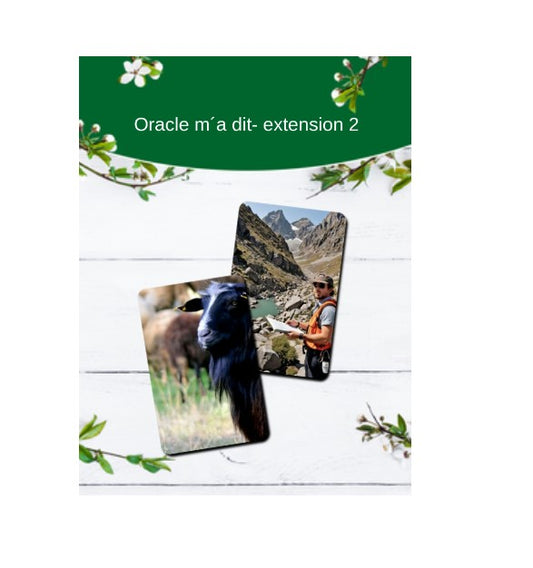 Extension 2  de l´oracle de Madi-   Résistant - 55 cartes