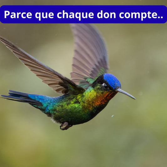 Don pour remercier ma chaîne YT et mon travail